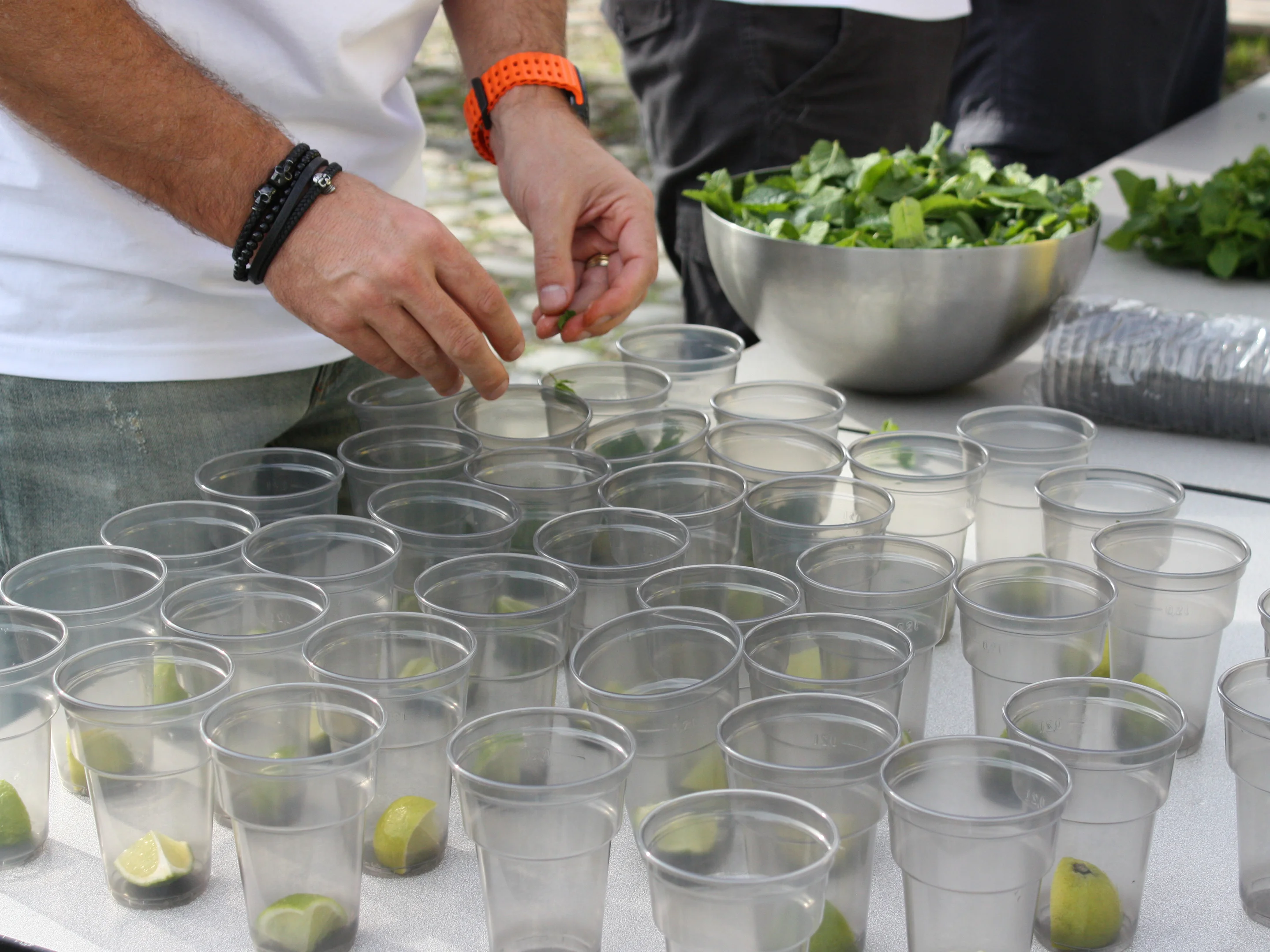 cups mojito preparation