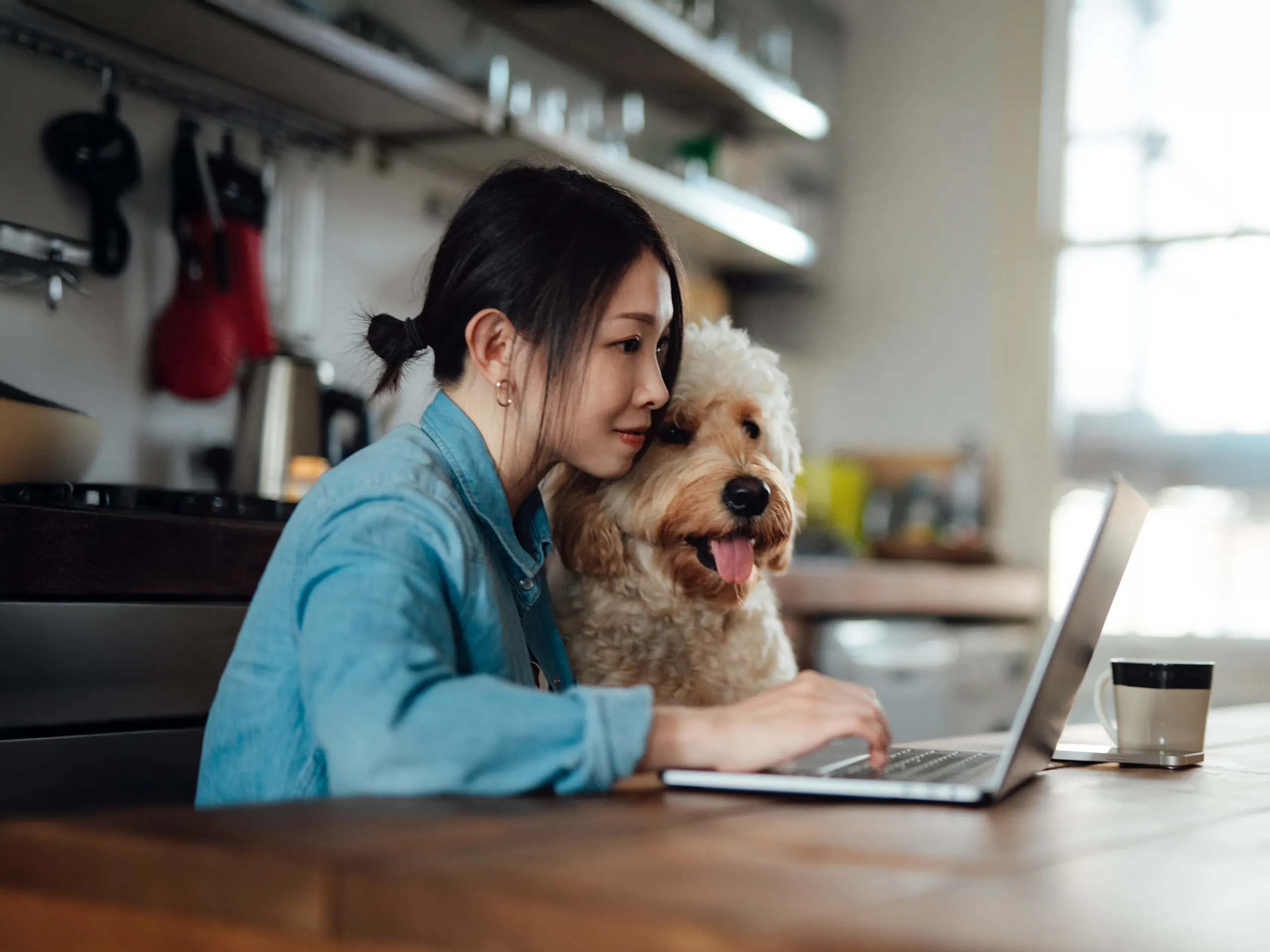Young woman with a laptop and a curly-haired dog works in a cozy kitchen.