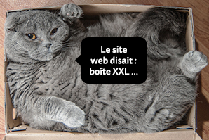 Blog_teaser_Achat_en-ligne_FR