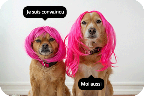 Webactive_cyberassurance_contact_fr