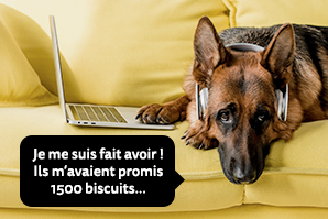 Teaser_Blog_Phishing FR