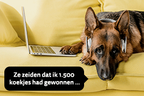 Teaser_Blog_Phishing NL